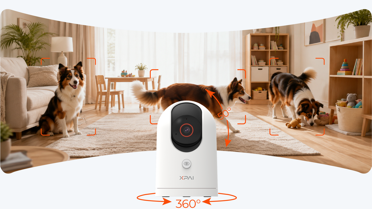 360 panoramic view
